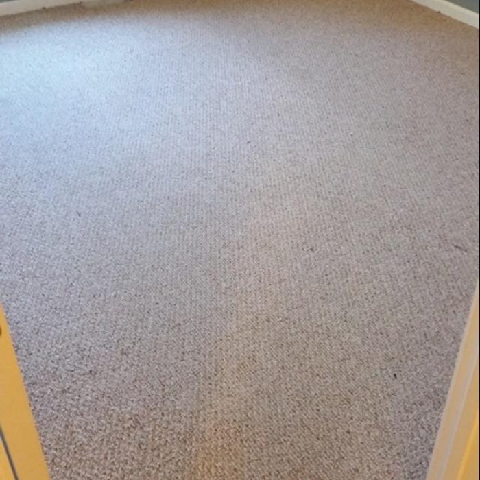 BEFORE bedroom carpet