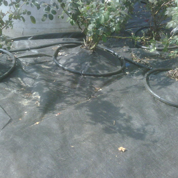 Nolan Plumbing & Irrigation, Inc. — photo 12