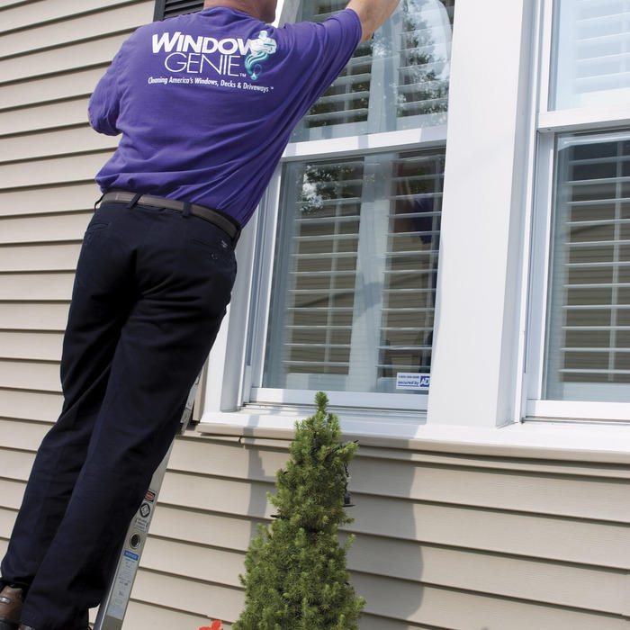 Window Cleaning Window Genie