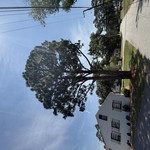 Edenton