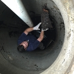 manhole roots