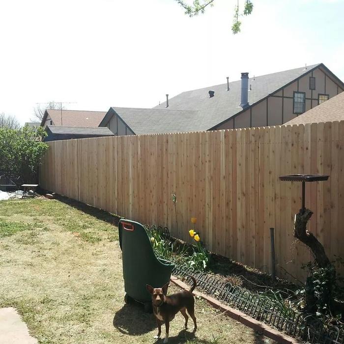 Red cedar - front