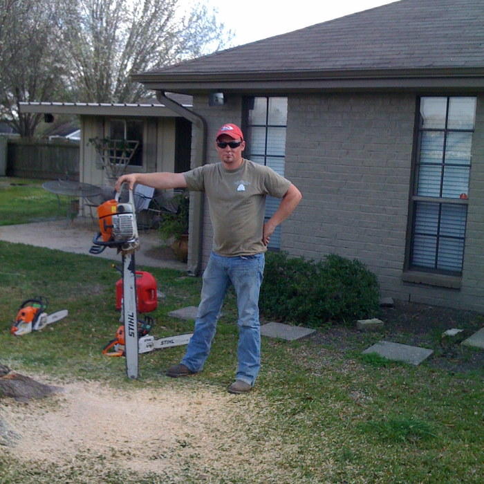 remove and trim trees