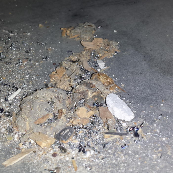 Dead mice in duct-work