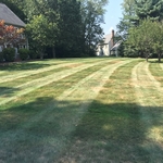 Lawn Care
