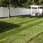 Sod and Grading