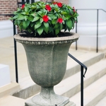 Planter Pots