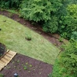 Backyard remodel