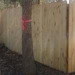 Wood Fence Installation
