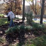 Sod Job Nov.2019