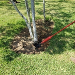 AIR EXCAVATOR TOOL