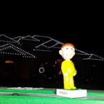 Holiday Lighting