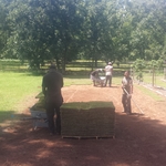 Landscaping New soil and
