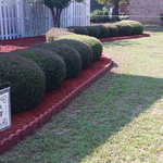 Landscaping New soil and