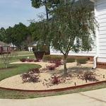 Landscaping New soil and
