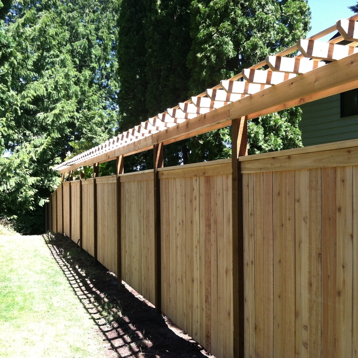 Trellis top modified panel wood fence