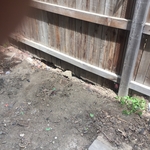Sod Install