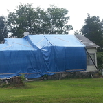 Tree turned house into a tent temporarily!