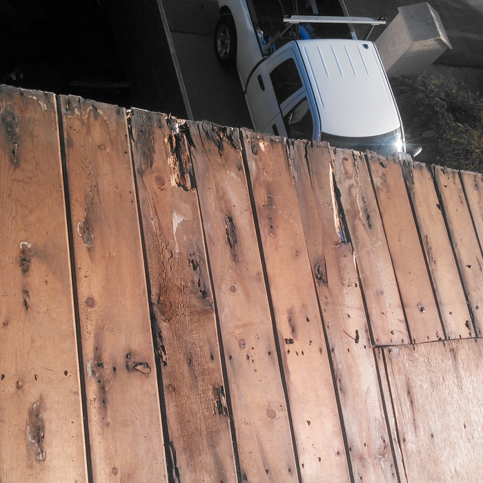 Dry-rot and termite damage repairs.