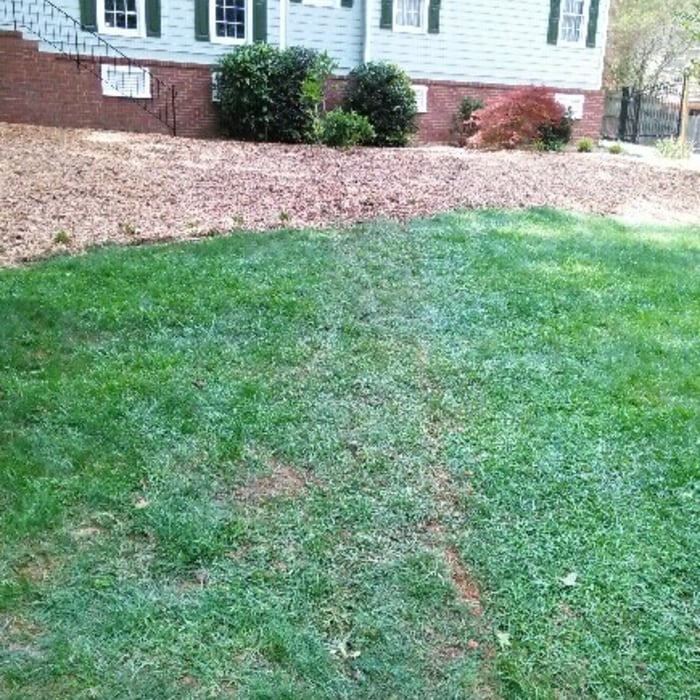 Waterline replacement