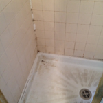 Before shower regrout