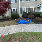 sewer replacement