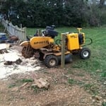 stumps gets grind easily