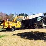Tree Service
