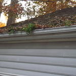 cleaned gutters
