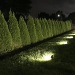 Landscaping & Landcape Lighting