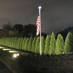 Landcape Lighting
