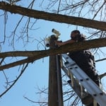 Technician mounting pole cameras