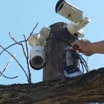 Pole Cameras