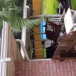 Bob M's Lawn