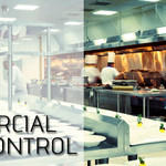 Commercial Pest Control