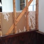 Termite Damage