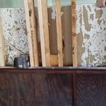 Termite Damage