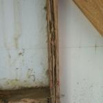 Termite Damage