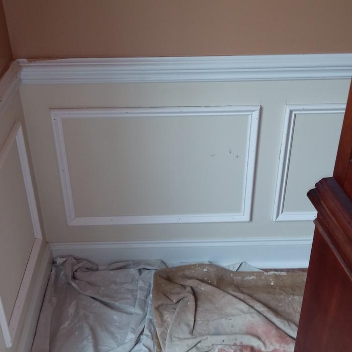 Entire home painting proj