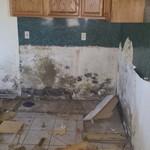 Mold in the kitchen