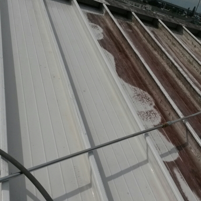 roof cleaning