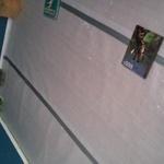 Laminate Floor