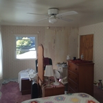 removed wallpaper