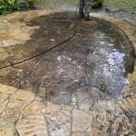 Pro Cleaning