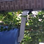 Rain Barrel