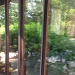 Windows at Chritian Science Church
