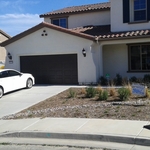Before Pics
