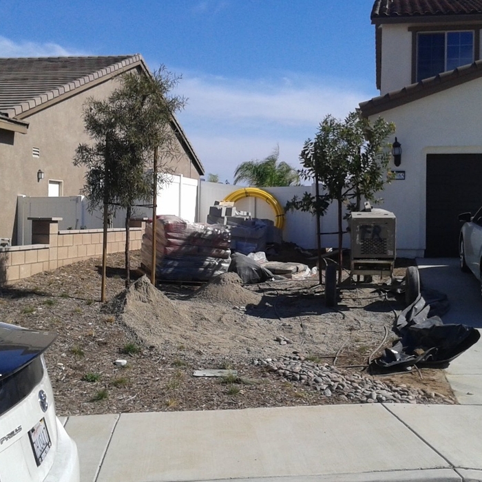 Before Pics