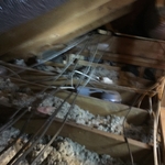 old insulation