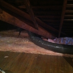 New attic insulation